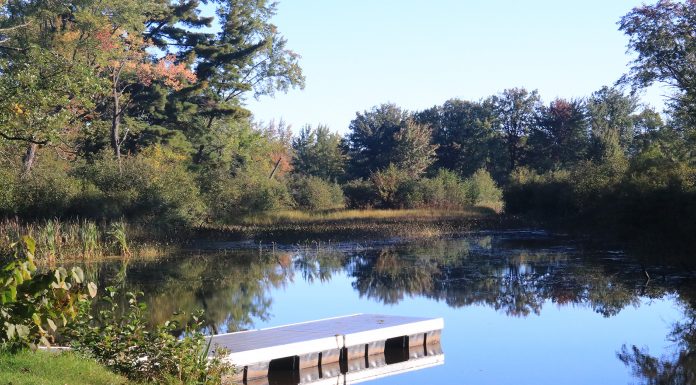 Bonnechere Park