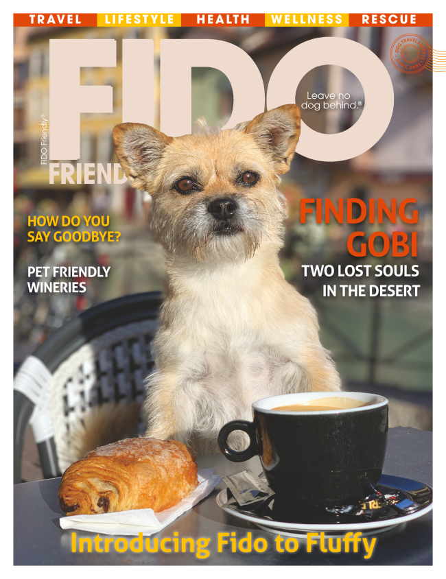 Fido Friendly Magazine