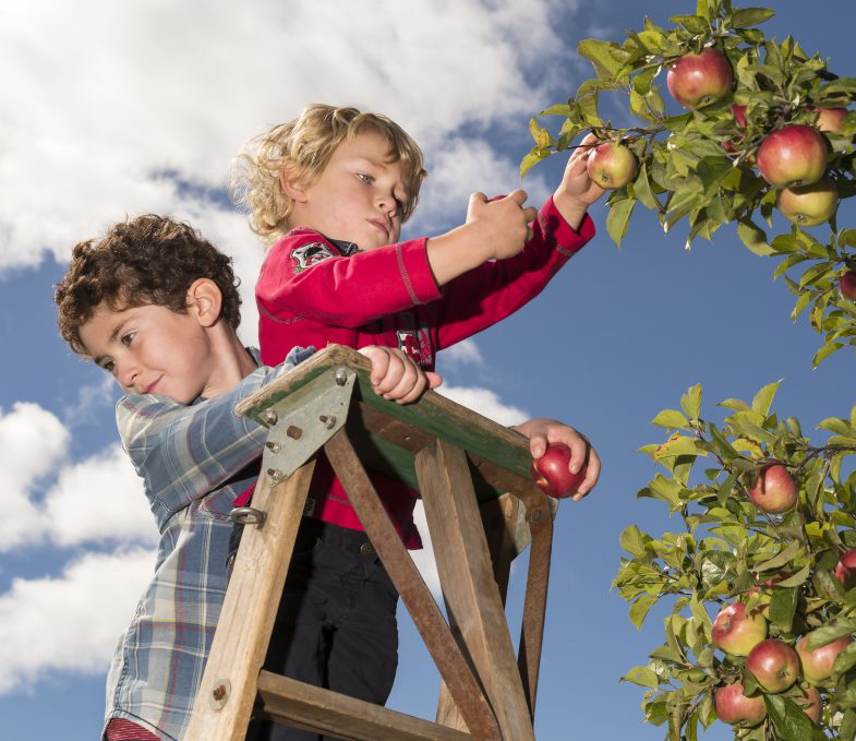 A photo opportunity in the orchards at Mauricie. Photo by MassawFoto.